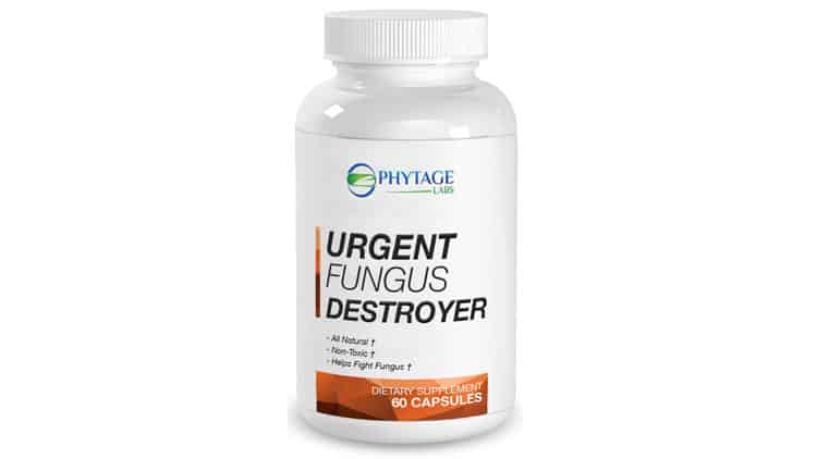 Urgent-Fungus-Destroyer