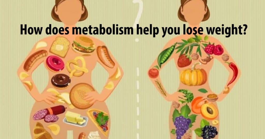 How does metabolism help you lose weight