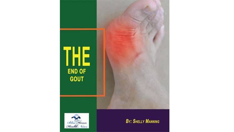 The-End-Of-Gout-PDF