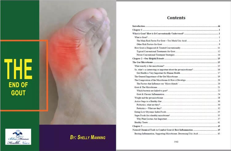 End of Gout Review