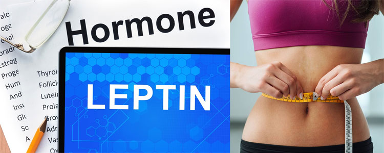 Leptin-Supplements