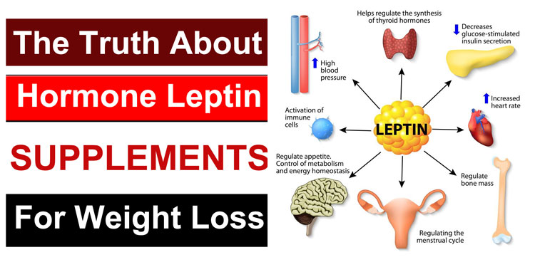 The Truth About The Hormone Leptin And Supplements For Weight Loss