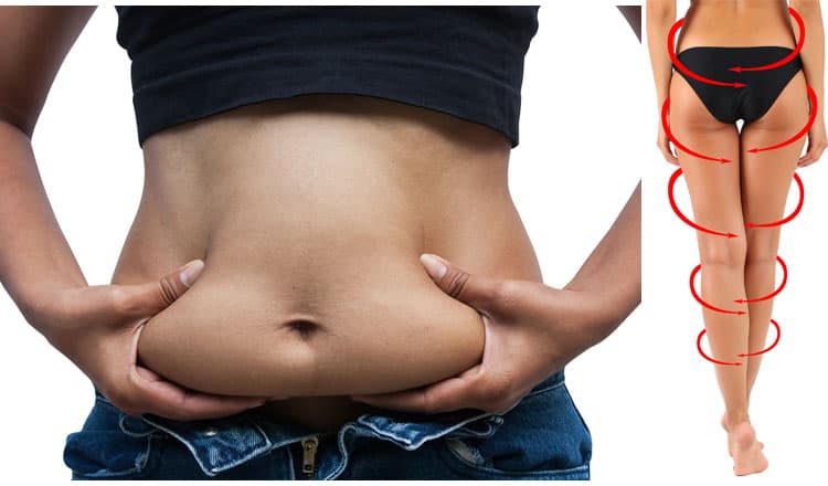 Fat Shrinking Signal