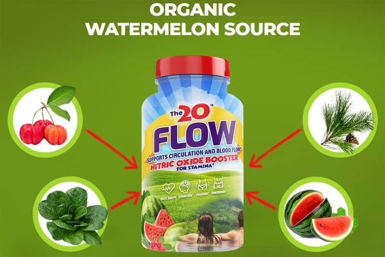 The 20 Flow Nitric Oxide Booster Review