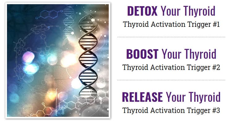 The Thyroid Factor Review