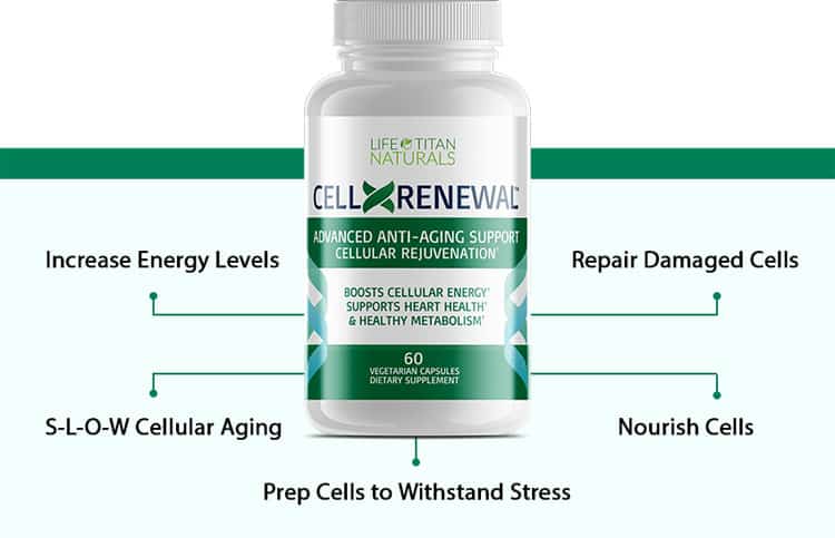 CellXRenewal-Work