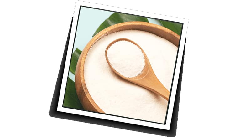 Collagen Is Only Part of the Anti-aging Solution