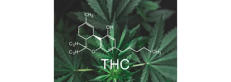 Does CBD Oil Work Without THC