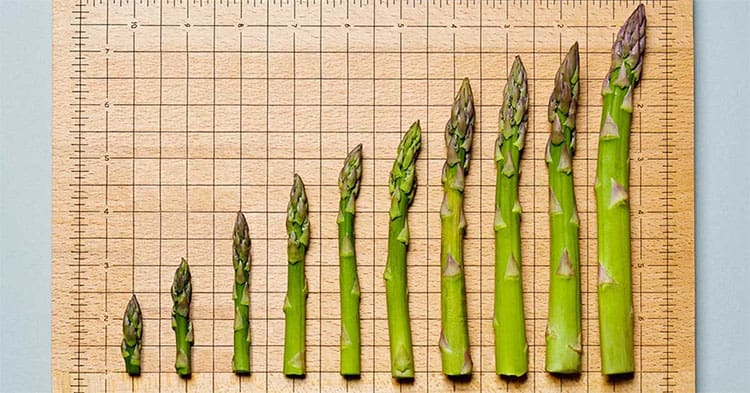 Healthy Penis Growth Support Formula