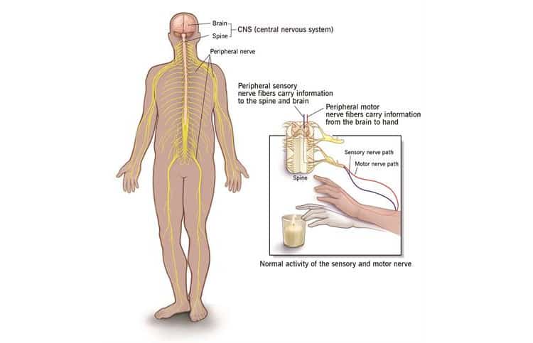 Symptoms of Neuropathy
