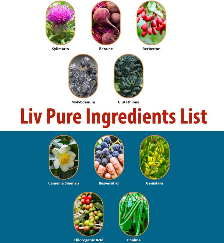 Liv Pure Ingredients List HealthFit247
